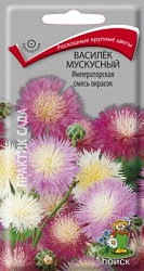 Василек мускусный Императорская смесь