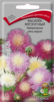 Василек мускусный Императорская смесь