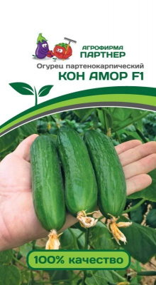 Огурец Кон амор
