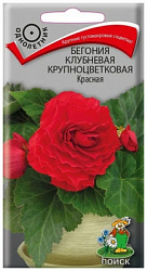Бегония клубневая крупноцвет красная