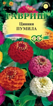 Цинния Пумила