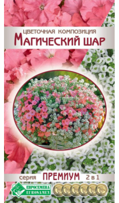 Магический шар