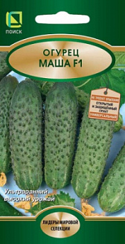 ogurec_masha