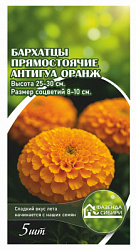 Бархатцы прямостоячие Antigua  Orange