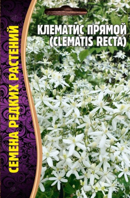 Клематис прямой