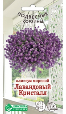 Алиссум Лавандовый кристалл