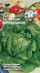 salat_attraktsion