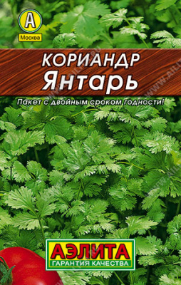 Кориандр Янтарь лидер