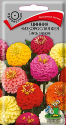 cinnia_nizkorosl_feya_smes_okrasok