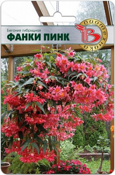 00000012790_1