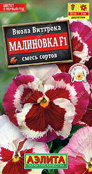 Виола Малиновка
