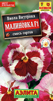 Виола Малиновка