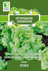 salat_uspeh_og_izob