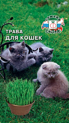 trava_dlya_koshek