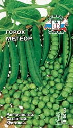 gorokh_meteor