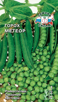 gorokh_meteor