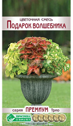 Цветочная смесь Подарок Волшебника