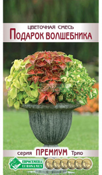 Цветочная смесь Подарок Волшебника