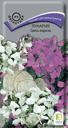 lunaria_smes_okarsok