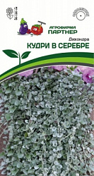 Дихондра Кудри в серебре