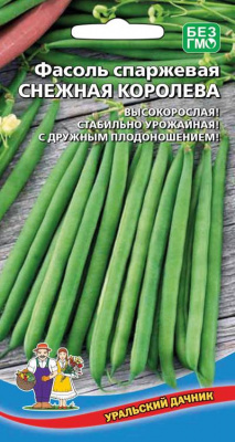 fasol-sparzhevaya-snezhnaya-koroleva