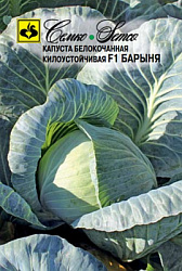 kapusta_belokochannaya_barynya