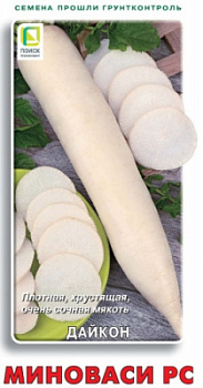 daikon_minovasi_rs