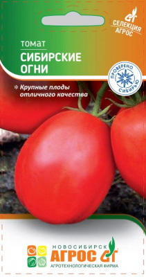 томат сибирские огни