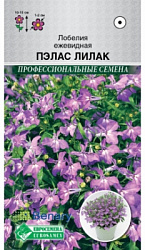 Лобелия Пэлас Лилак