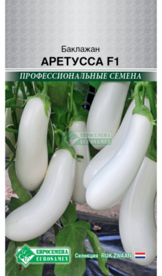 Баклажан Аретусса