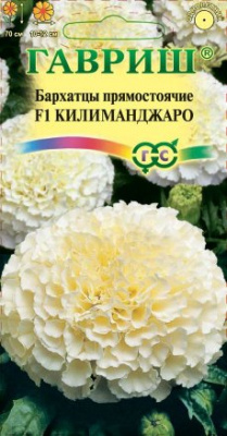 Килиманджаро