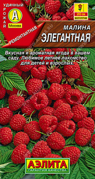 Малина Элегантная