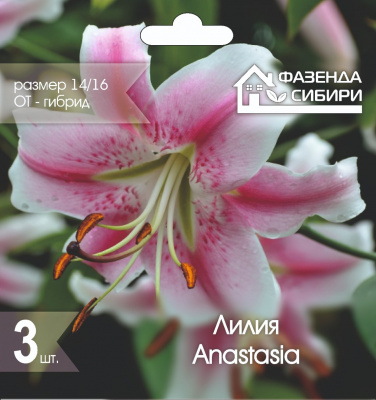 Лилия Анастасия