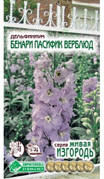 Дельфиниус Бенари Пасифик Верблюд
