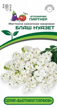 Маттиола БЛАШ НУАЗЕТ