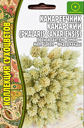 Канареечник