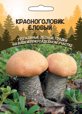 krasnogolovik-elovyy