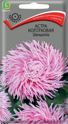 astra_kogotkovaya_shinshilla