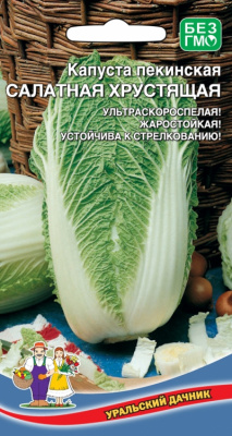 kapusta-pekinskaya-salatnaya-hrustyaschaya