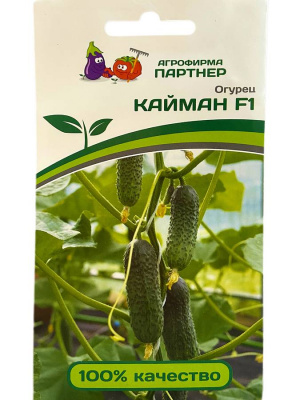 ЦБ-00000584_1