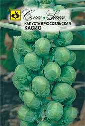 kapusta_brusselskaya_kasio
