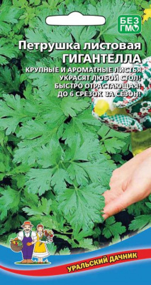 petrushka-listovaya-gigantella
