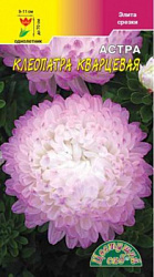 Астра Клеопатра Кварцевая