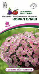 Петуния зацветет корал блаш