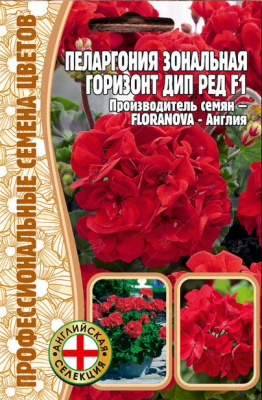 Пеларгония дип ред