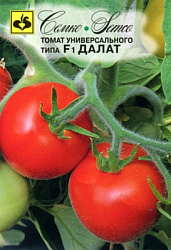tomat_dalat