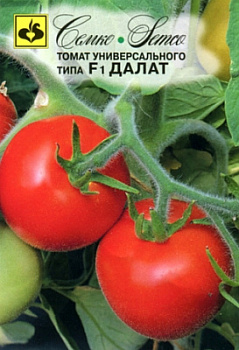 tomat_dalat