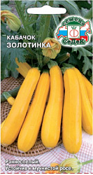 kabachok_zolotinka