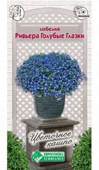 Лобелия Голубые Глазки