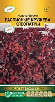 Колеус Расписные Кружева Клеопатры
